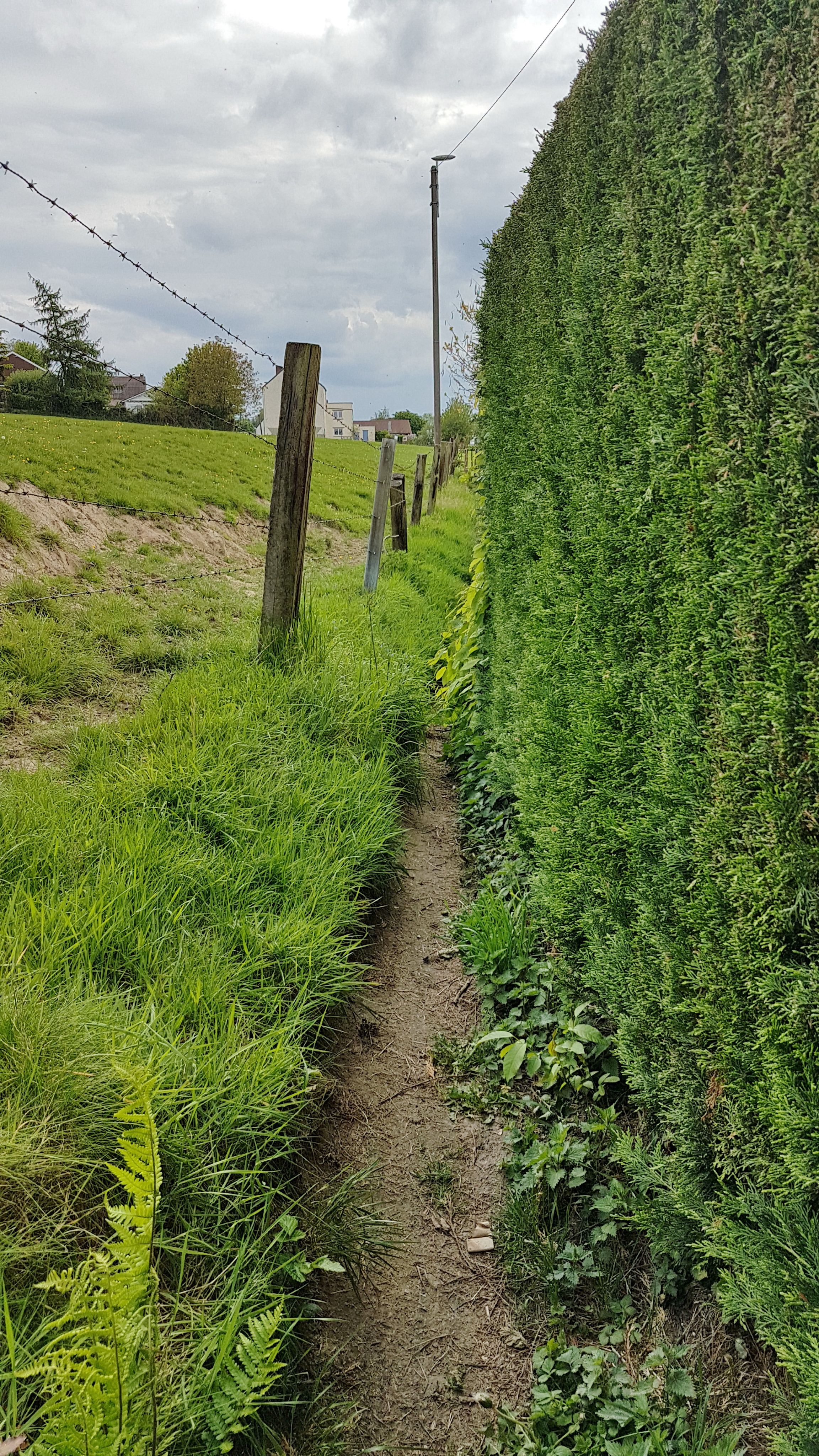 Eigenbrakel, Waals-Brabant, Te voet: Top van de beste wandelroutes,  trajecten, tochten en wandelingen - SityTrail