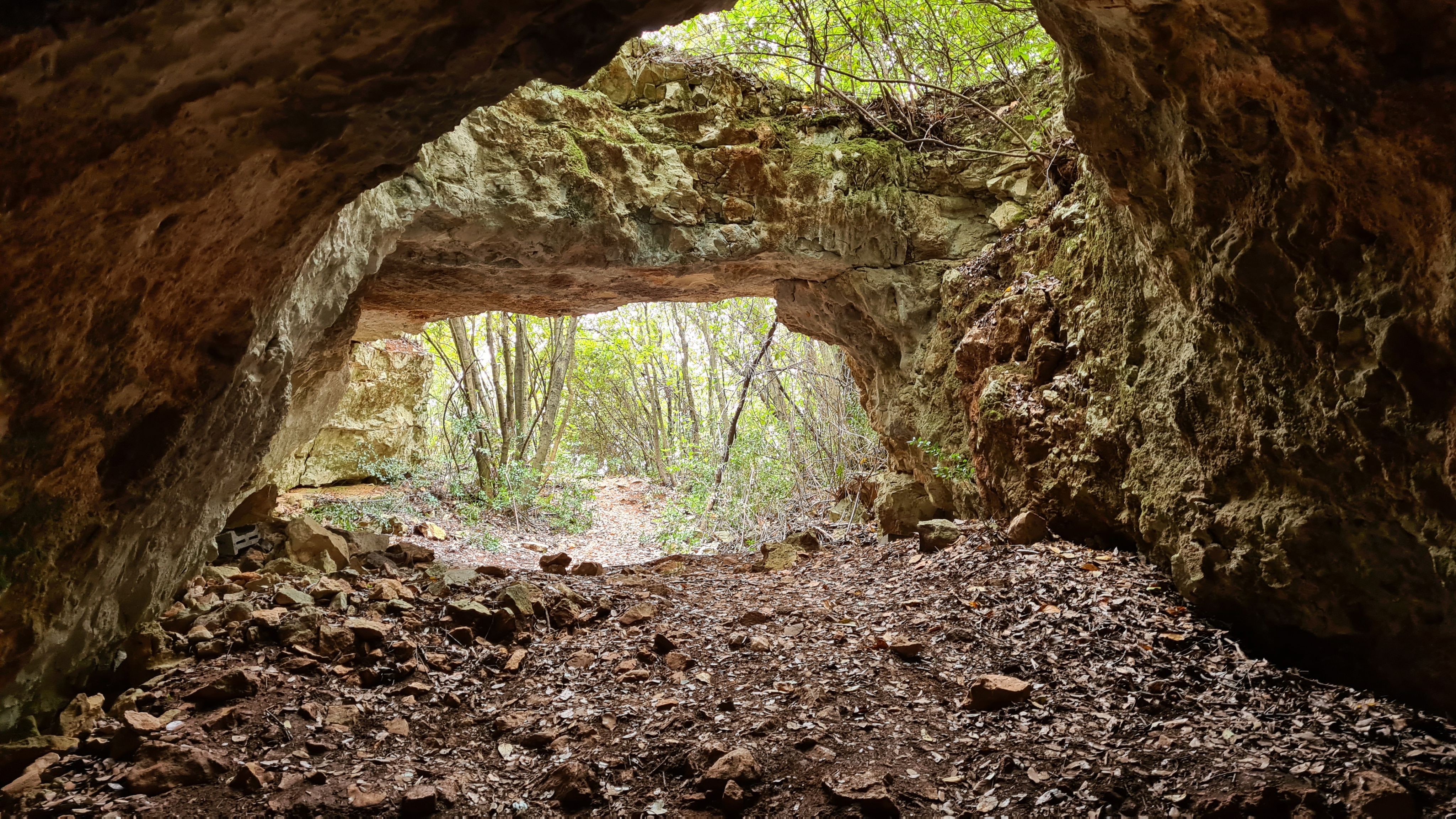 Randonnée Marche à Cannes-et-Clairan: Le sentier du terroir PR46 - SityTrail