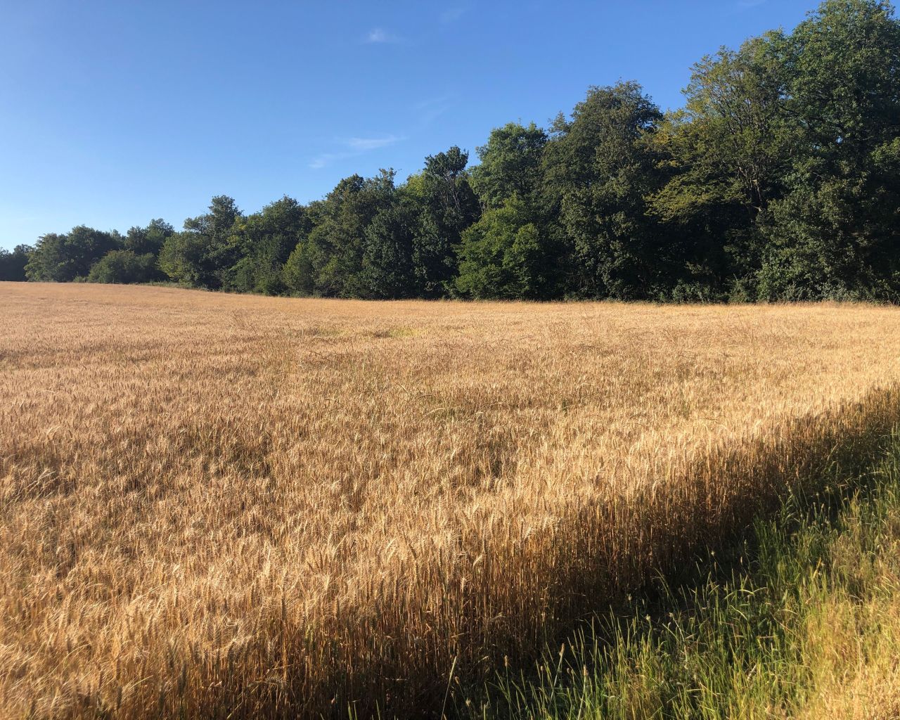 Randonnée Marche à ValleroisLorioz Vallerois lorioz SityTrail