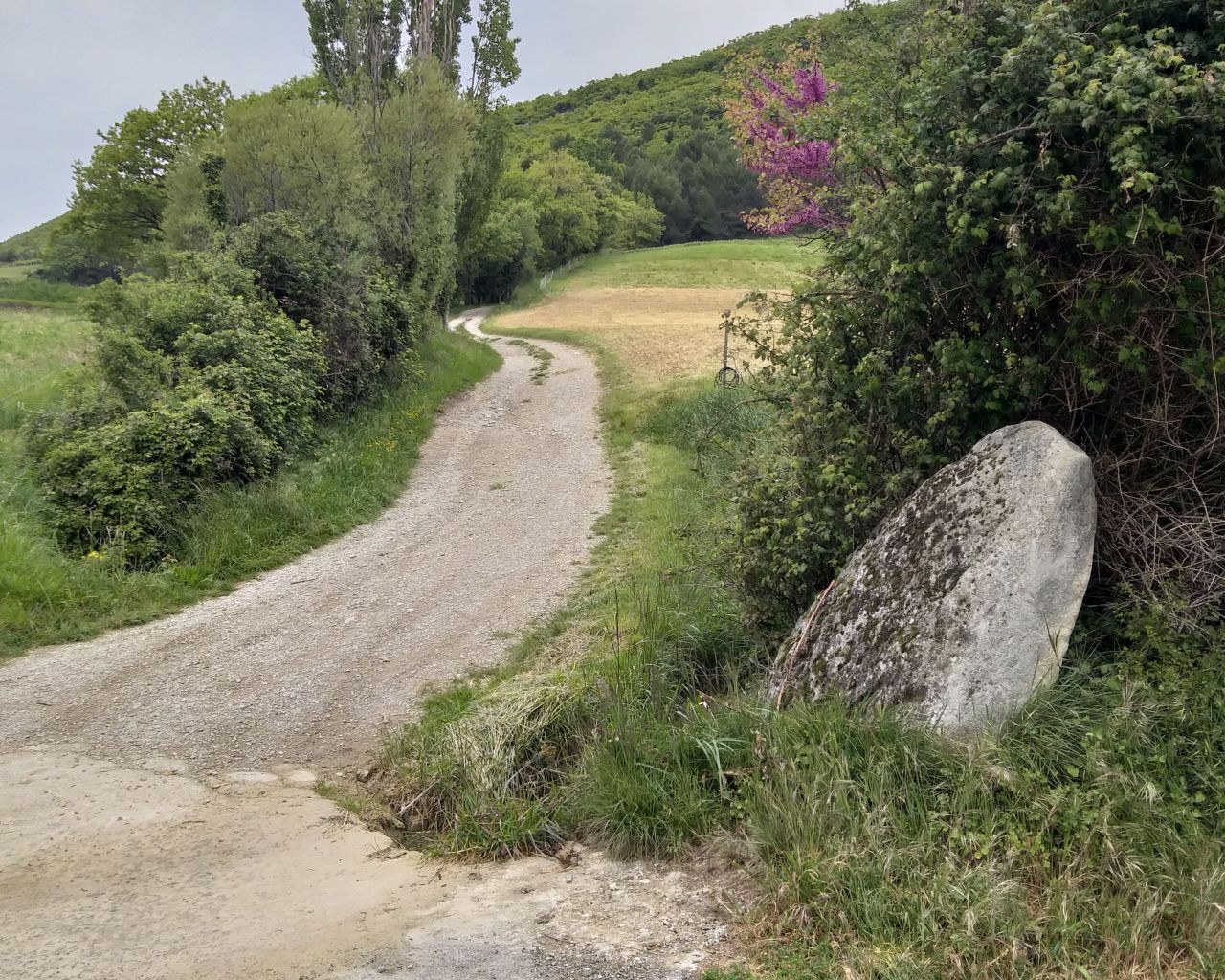 Tour Wandern bei Aubres le Flachet petit Veyronne ferme des Faviers