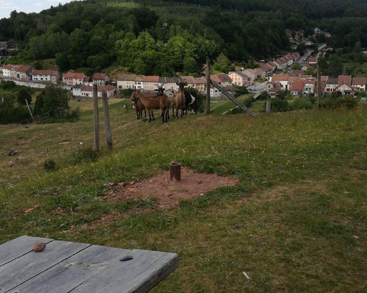 Randonnée Randonnée équestre à MétairiesSaintQuirin rond pré croix