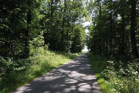 Randonnée Marche à Sivry-Rance: Rance - Circuit Natura 2000, des sites ...