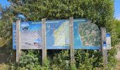 Tocht Stappen Tardinghen - Châtelet vers le Cap Gris-Nez  - Photo 4