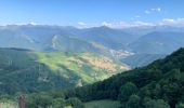 Trail Walking Aspin-Aure - Crête d’Aspin - Photo 2