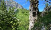 Tour Wandern Saint-Pierre-de-Chartreuse - Le charmant Som en Boucle - Photo 14