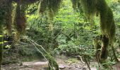 Trail Walking Marchamp - Cérin - Photo 11