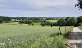 Tour Wandern Saint-Hubert - MIRWART-HAUTEUR DE SMUID-ARVILLE-MIRWART - Photo 2