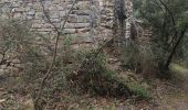 Trail Walking Flayosc - reconnaissance berne circuit jaune  - Photo 3