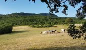 Tour Nordic Walking Le Bosc - Le Bosc Grandmont - Photo 13