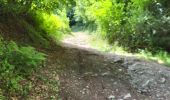 Trail Walking Vresse-sur-Semois - Allesur Semois 020625 - Photo 7