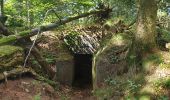 Trail Walking Grandfontaine - Positions fortifiées du Donon sentier des casemates - nord - Photo 2