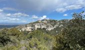 Tour Wandern Saint-Rémy-de-Provence - PF-Saint Rémy de Provence - Lac du Peiroou - La Caume - Photo 15