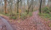 Tour Wandern Gerpinnes - Fromiee 110225 - Photo 19