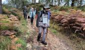 Trail Walking Fontainebleau - la faisanderie 20 octobre 2023 - Photo 1