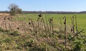 Trail On foot Ohey - Vers Jallet  par Haillot - Photo 15