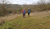 Tocht Stappen Anhée - 2020-01-16 Maredsous 21 km - Photo 13