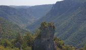 Trail Walking Saint-Pierre-des-Tripiers - Jonte Corniches du Mejean - Photo 5