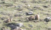 Tocht Stappen Châtillon-en-Diois - Combau-TêteChevalière 05-05-2018 - Photo 3