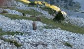 Excursión Ruta Gresse-en-Vercors - Boucle Gresse en vercors - grand veymon  - Photo 1