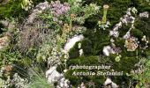 Tour Zu Fuß Corteno Golgi - Corteno Golgi (Sant'Antonio) - Passo del Sellero - Photo 3