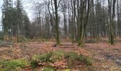 Tour Wandern Monschau - Rando Eifel des jonquilles narcisses 18,3 - Photo 10