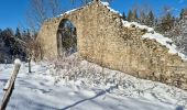 Randonnée Raquettes à neige Haut Valromey - la cua - Photo 3