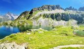 Trail Walking La Chapelle-en-Valgaudémar - Lac et Col de Pétarel - Photo 3