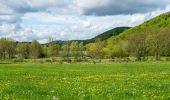 Tour Zu Fuß Edertal - Nationalparkrundweg Ochsenwurzelskopf-Route - Photo 9