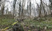Trail Walking Huy - Saint Léonard  - Photo 2