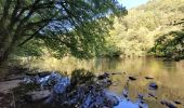 Tocht Stappen Houffalize - rando nadrin 10-09-2023 - Photo 10