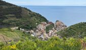 Trail Walking Vernazza - Vernazza - Riomaggiore - Photo 2
