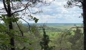 Tour Wandern Châteauvillain - Créancey. Marche à travers champs et forêts  - Photo 3