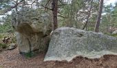 Tocht Stappen Fontainebleau - Fontainebleau sentier Denecourt 9 Est - Photo 8