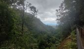 Percorso Marcia São Jorge - Levada del Rei - Photo 5