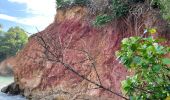 Tocht  La Trinité - Boucle de Pointe-Rouge - Photo 4