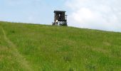 Excursión A pie Gemeinde Donnerskirchen - Mannersdorf - Kaisereiche - Donnerskirchen - Photo 4