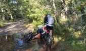 Tour Mountainbike Sainte-Eulalie-en-Born - ste Eulalie  - Photo 2