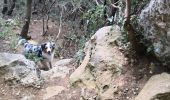 Tour Wandern Murs - les grottes de Bérigoule - Photo 2