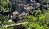 Trail Walking Gordes - Gordes - Abbaye de Senanques 13km - Photo 10