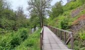 Trail Walking Hamoir - comblain la tour . xhygnesse . comblain fairon . comblain la tour - Photo 4