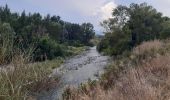 Excursión Senderismo Le Boulou - Le boulou - Saint Jean pla de corts via le lac  - Photo 3