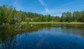 Tour Zu Fuß Märkische Heide - Wanderweg Schlepzig-Dürrenhofe - Photo 8