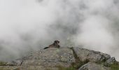 Excursión Senderismo Val-Cenis - Lacs de Bellecombe - Photo 1