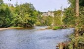 Tocht Stappen Dinant - Anseremme - Freyr - Walzin - Photo 1