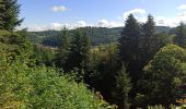 Trail Mountain bike Abreschviller - Abreschvillers La Croix Guillaume - Photo 6
