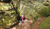 Tour Wandern Berdorf - Mullerthal Berdorf B5+B8 Raiberhiel-Teufelsinsel-Siewenschleff-Berdorfer Kasselt-Keltenkapp-Passage Mandrack-Geierslay-Perekop-Huel Lee (PVDB) - Photo 12