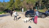 Excursión Senderismo Ollioules - Le Gros Cerveau filles - Photo 1