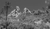 Excursión Senderismo Saint-Raphaël - Noir 1 (Partiel) : Col ND - Sommet des Petites Grues - Sommet des Grosses Grues - Col de la Cadière - Ravin de la Dent de l'Ours - Photo 9