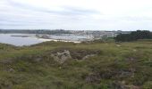 Trail Walking Camaret-sur-Mer - Autour de Camaret sur Mer - Photo 16