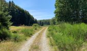 Trail Walking Florenville - Muno et roche à l'appel - Photo 11